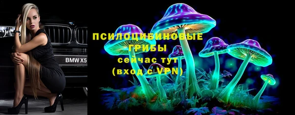МДПВ Ладушкин