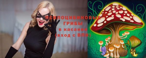 МДПВ Ладушкин