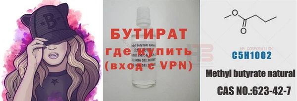 сатива Бородино