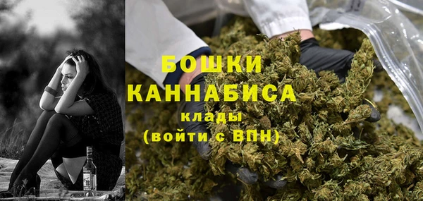 спиды Лагань