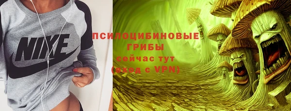 МДПВ Ладушкин