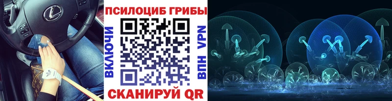 купить закладку  Тотьма  Галлюциногенные грибы GOLDEN TEACHER 